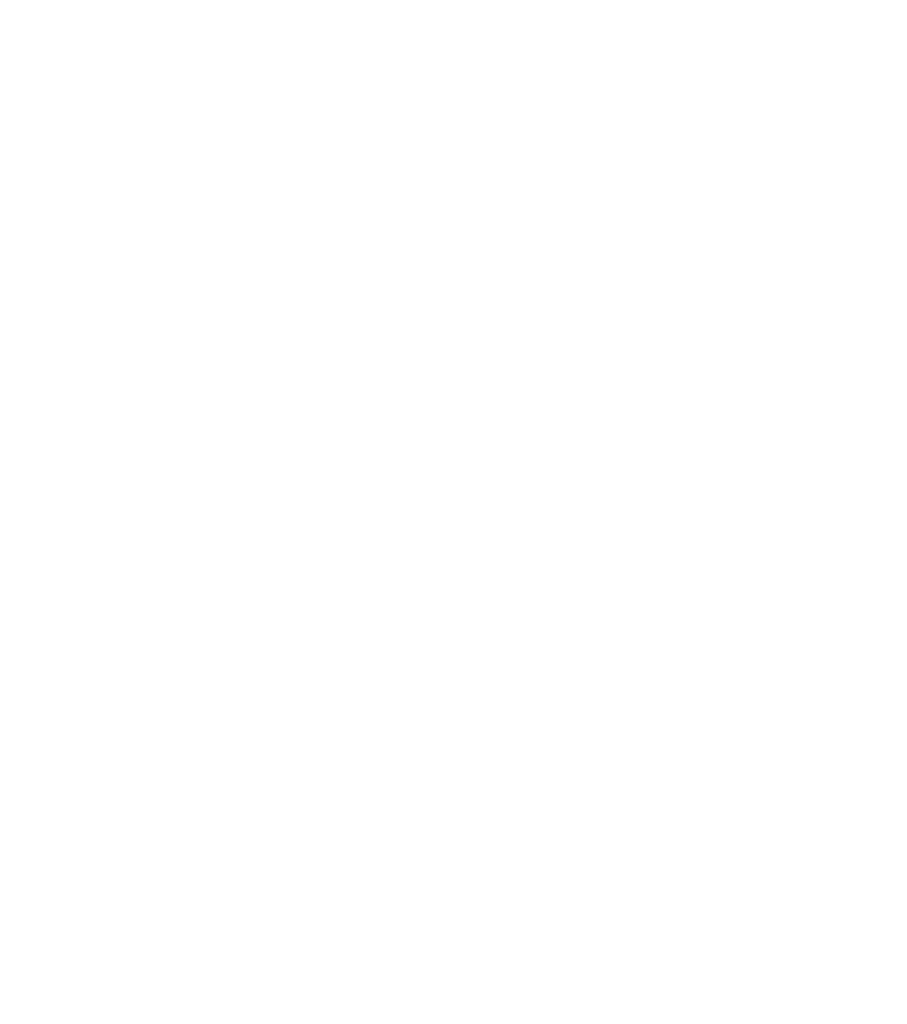 Hairstyling Rimmelzwaan